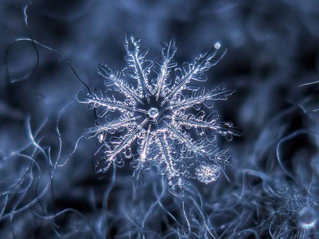 Снежинки,безмолвная красота кристаллов